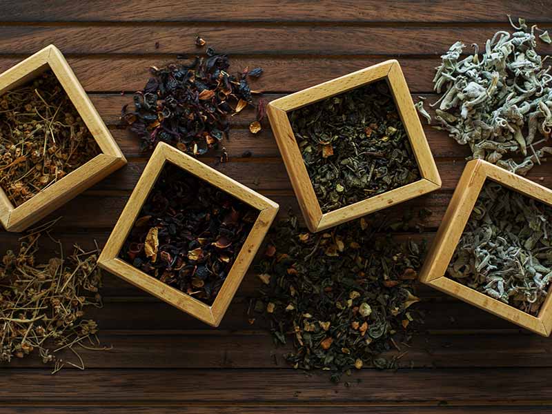 Thurson Teas | Historia del té