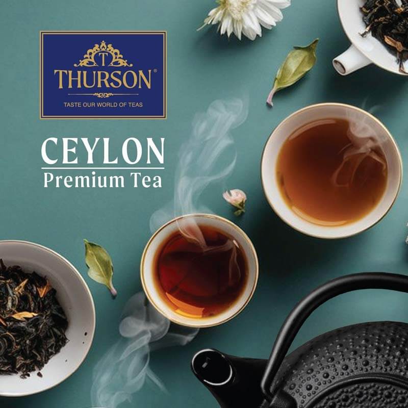 Thurson Brochure